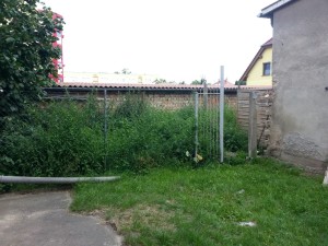 IMG-20150806-WA0009