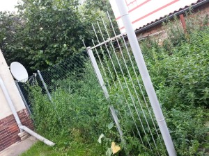 IMG-20150806-WA0013